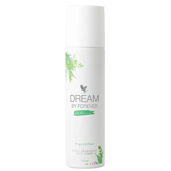 282dream (1).webp